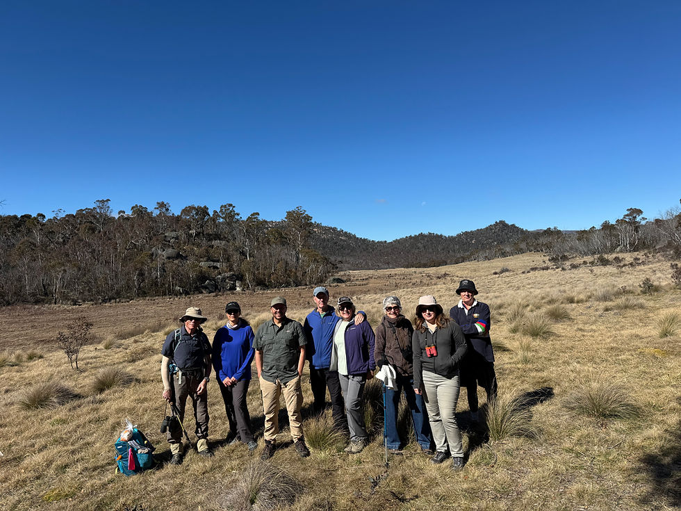 Branching Out in Namadgi: connecting people with Country at Nursery Swamp