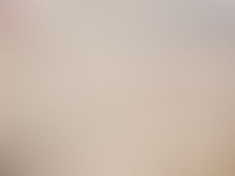 Genocide in Gaza: Will Australia say the word?