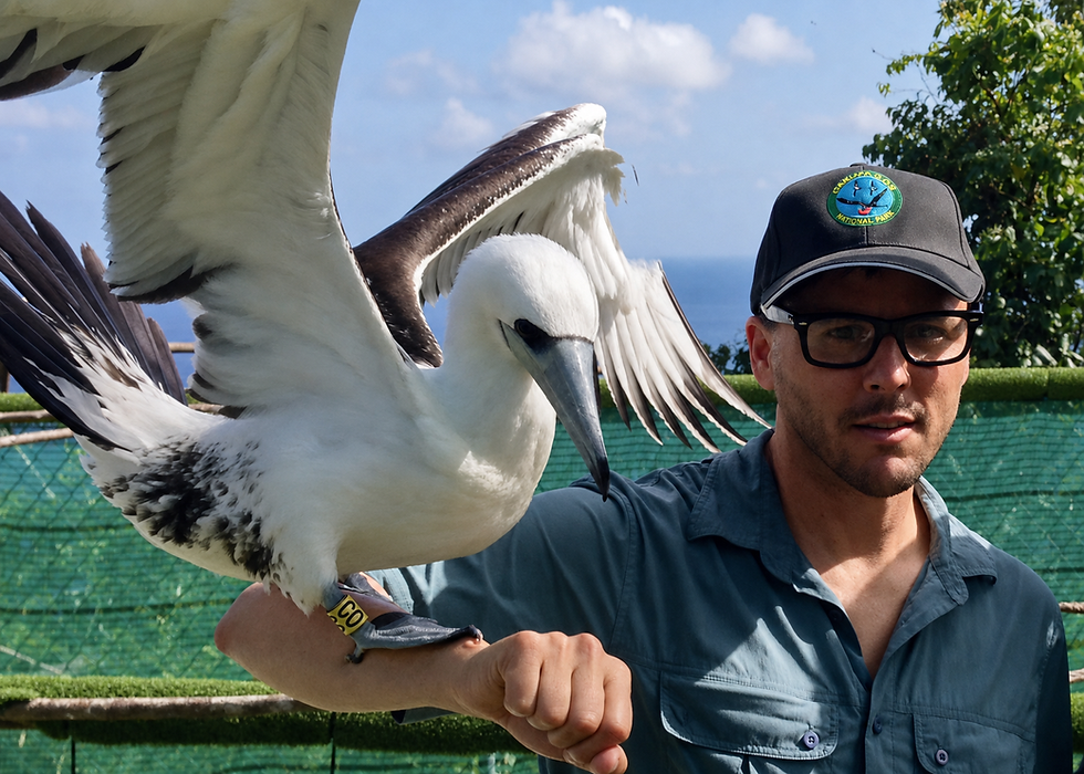 Bird Flu Has Landed - and Australia’s Wildlife Has Nowhere Else to Go