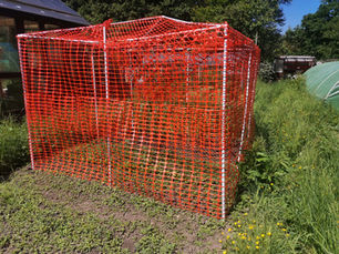 Flaming June Newsletter