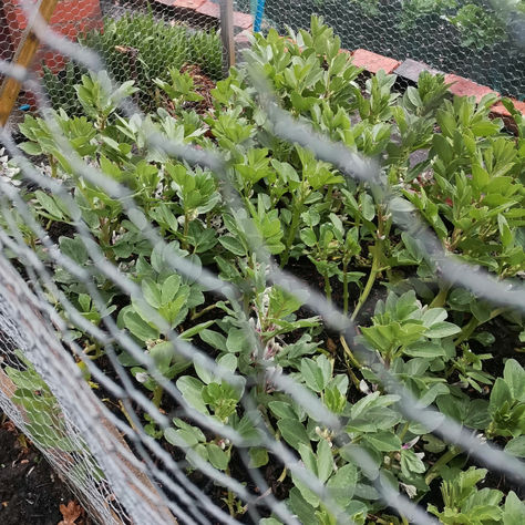 April 2022 Newsletter