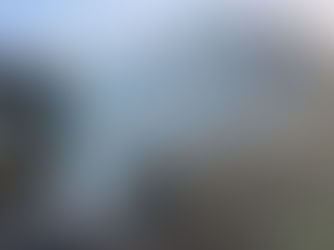 Moor Green in November