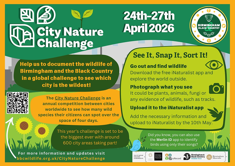 City Nature Challenge