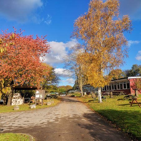 Moor Green in November