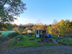 Moor Green in November