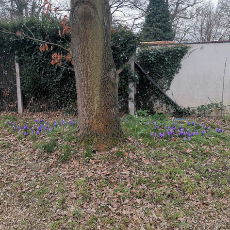 March 2022 Newsletter