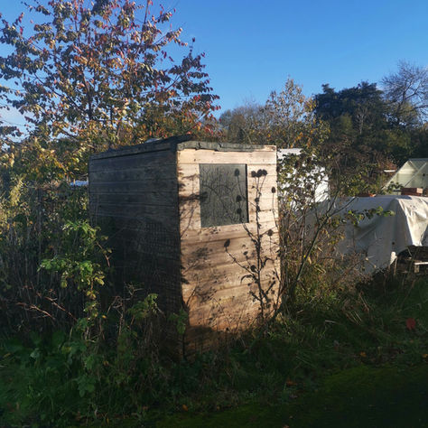 November at Moor Green - Newsletter