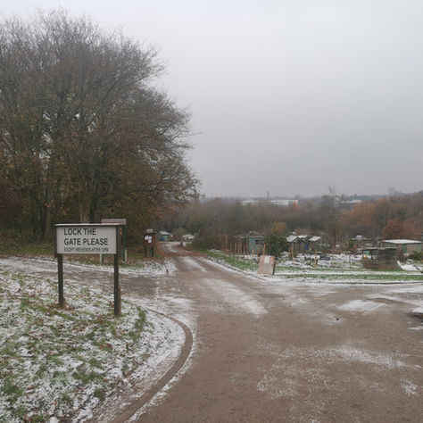 Moor Green News - Bleak Midwinter Issue