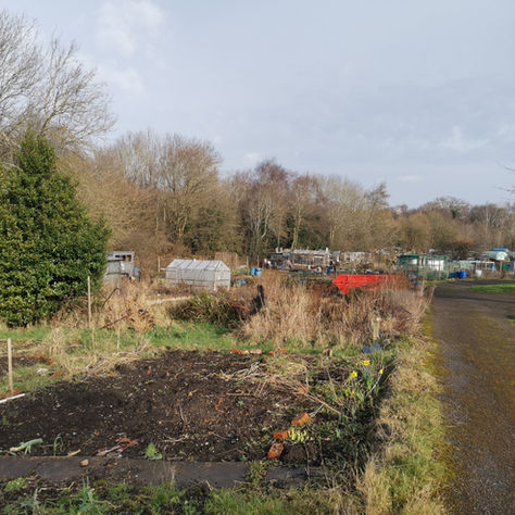 February 2022 Newsletter