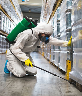 Copy of Untitled (1).jpg