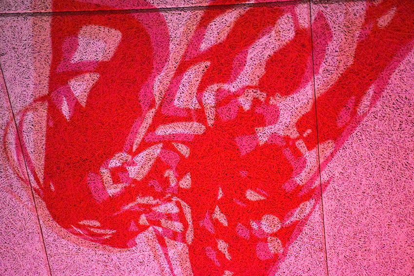 Schattenspiele_2.gif