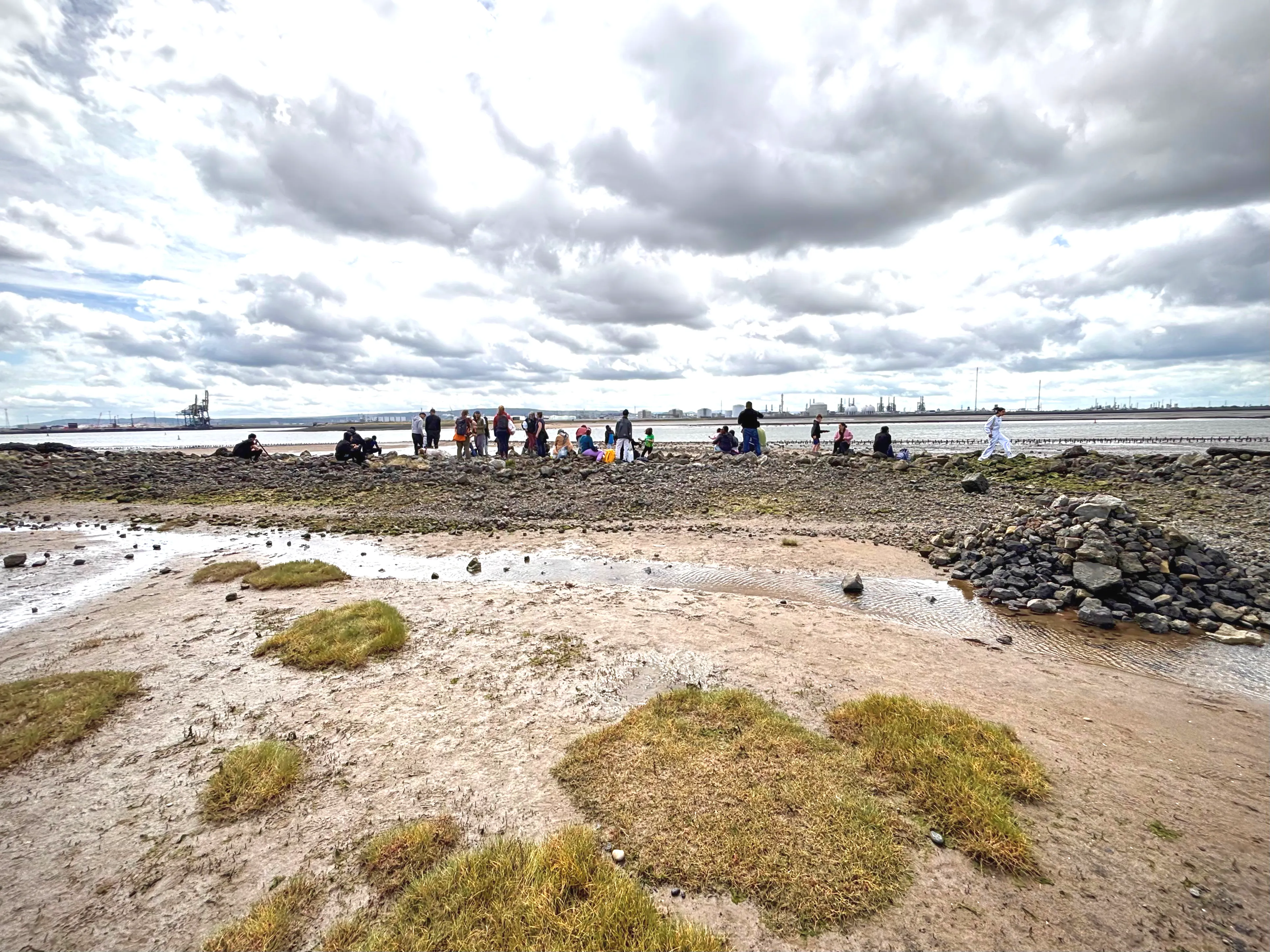 Seal Watching May 2025 ©Vicky Ward.webp
