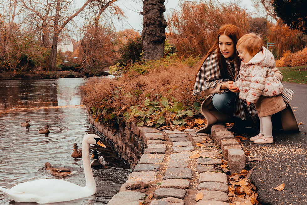 Preston-Park-Parks-Gardens-Stockton-on-Tees-2024-06-28 © Tees Valley Combined Authority