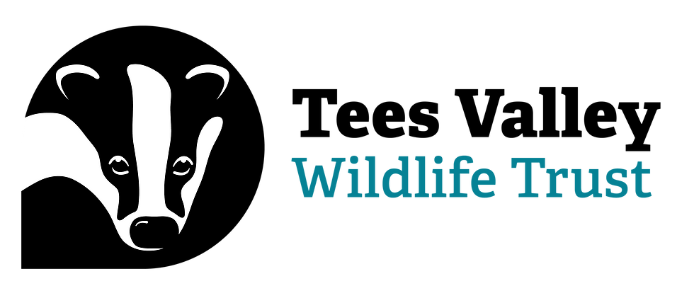 Tees Valley Wildlife Trust logo