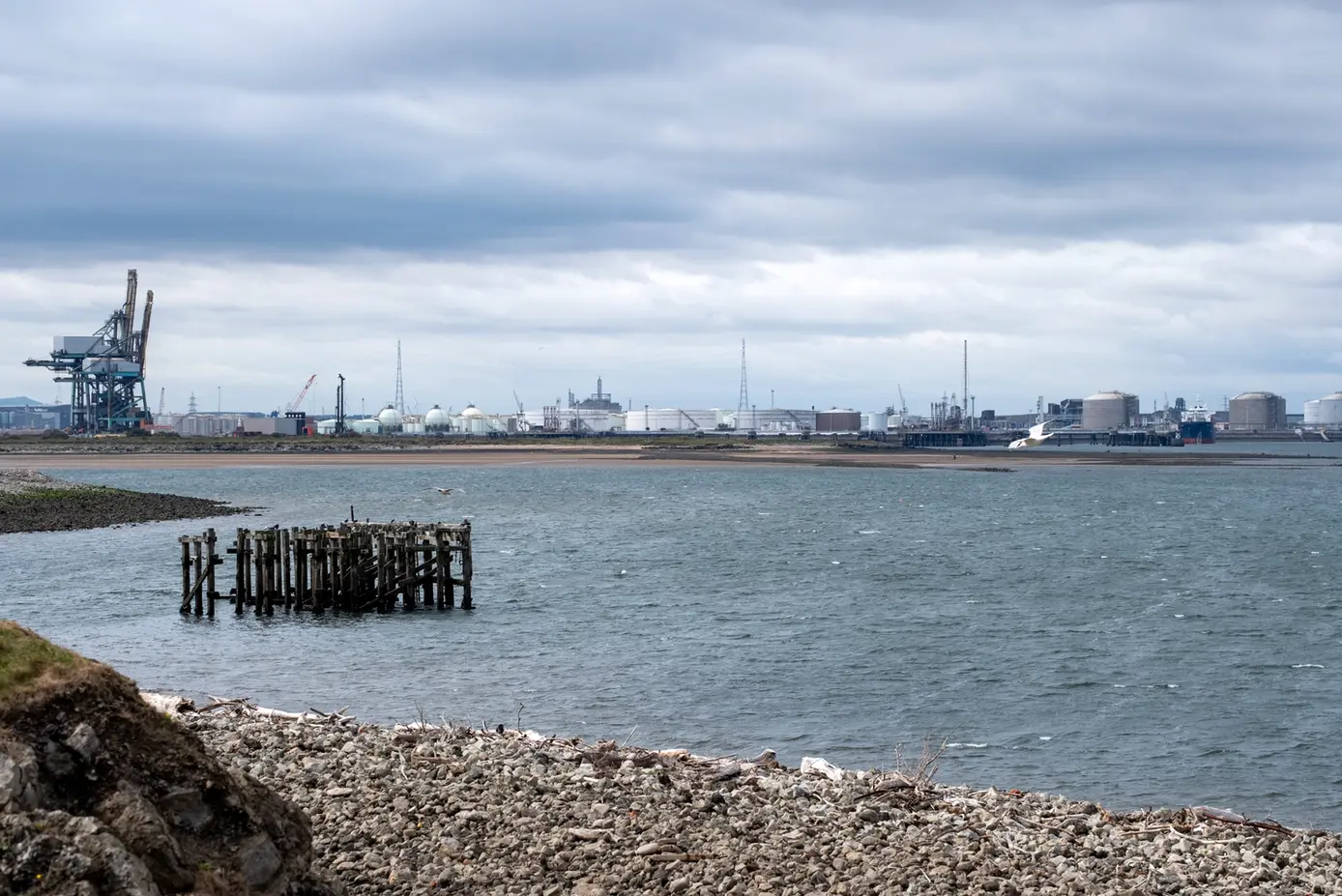 View over Greatham