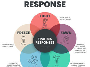 Understanding Trauma Responses: More Than Fight or Flight