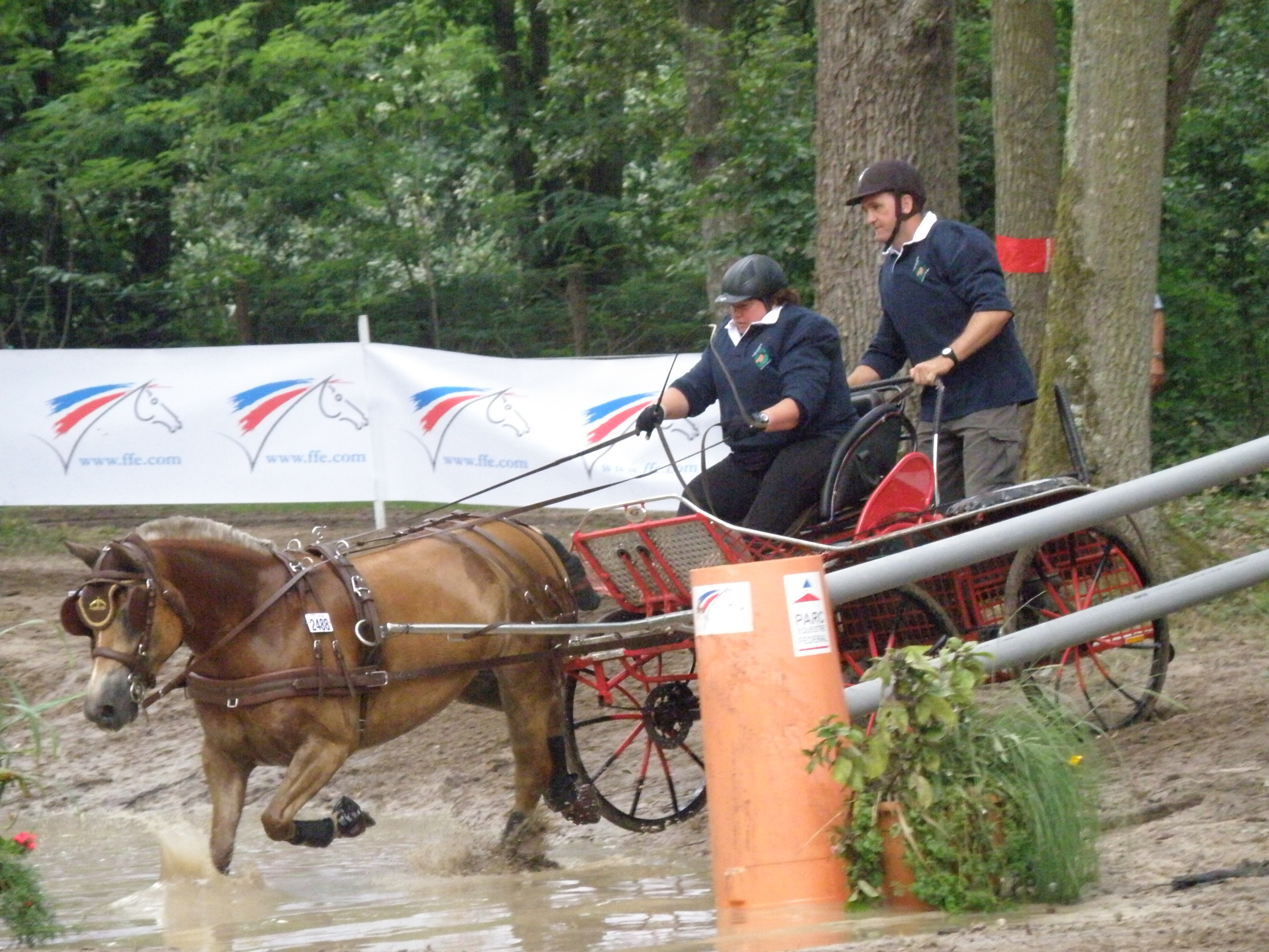 LAMOTTE 2012 (2).JPG