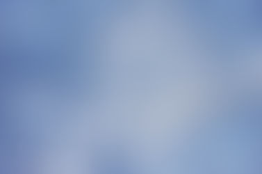 横浜のSIJ探偵ブログ12.30