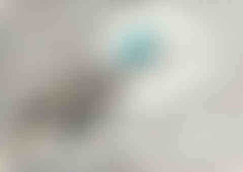 1. Seres Habitantes en tránsito