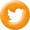 Twitter Orange Gumdrop