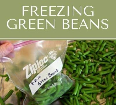 Green Beans