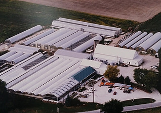 bench farm 1990s 2.jpg