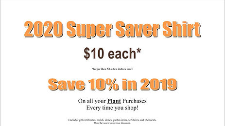 Benchs 2020 Super Saver Banner (2).jpg