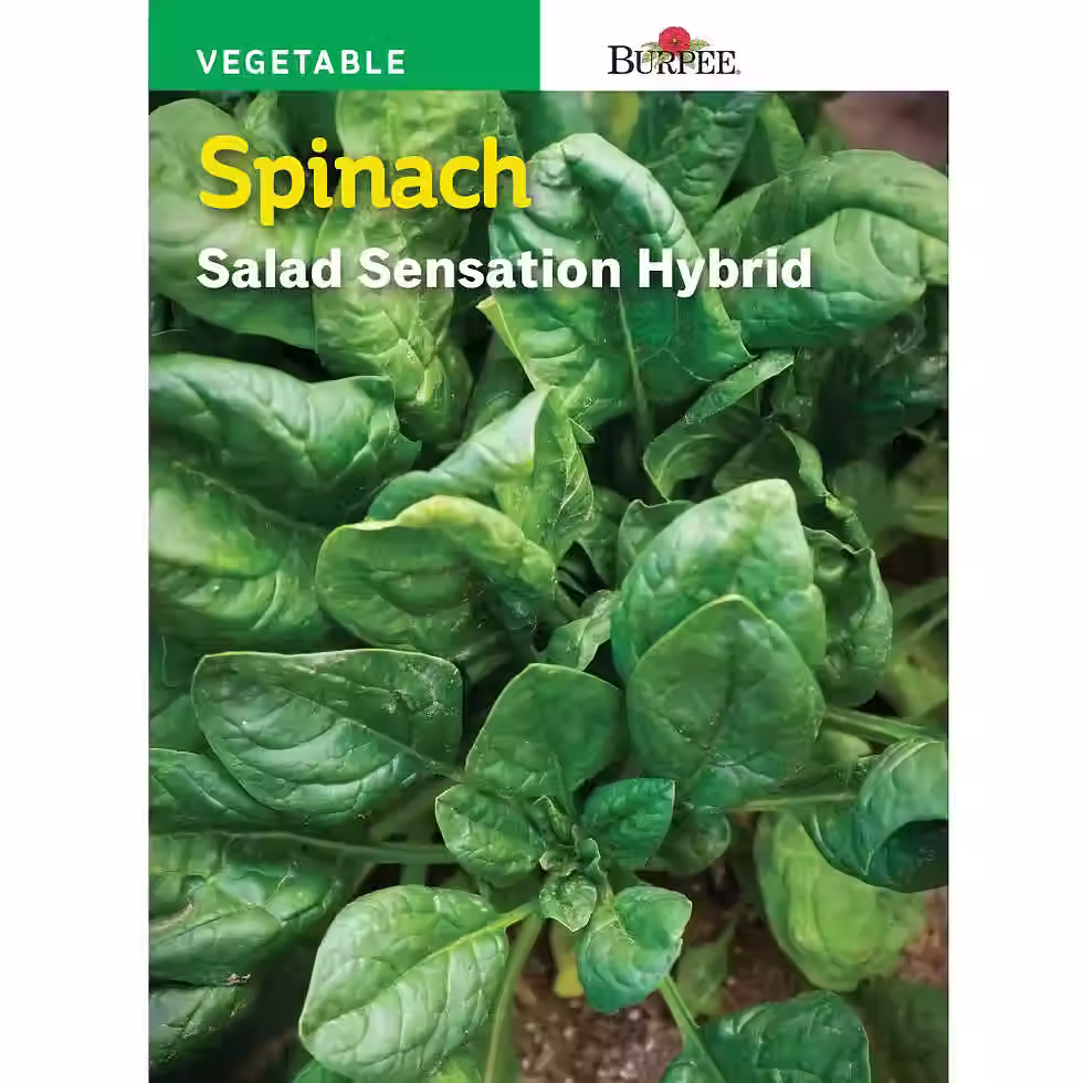 Burpee Spinach Salad Sensation