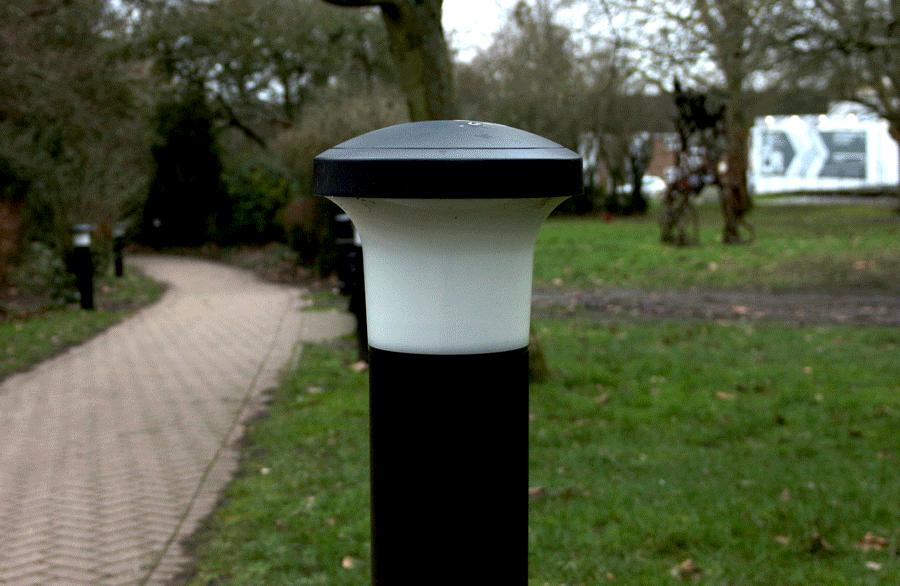 polephotosv2.gif