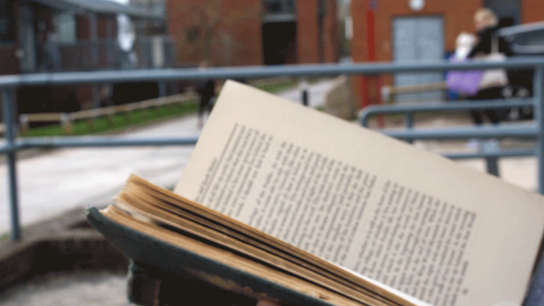 pages.gif