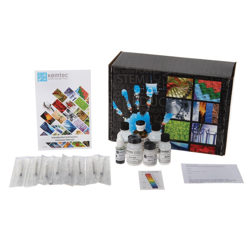 Introduction to Enzymes Kit