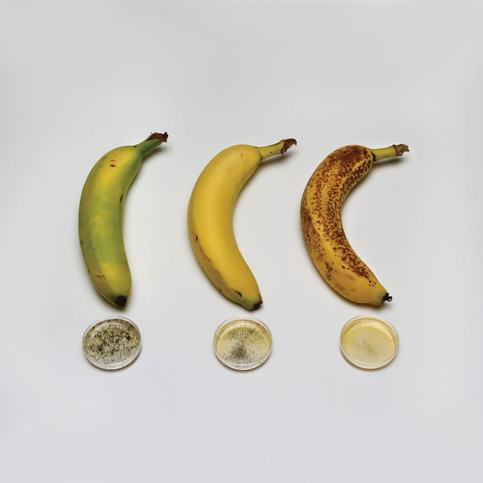 Carolina ChemKits: Introduction to Biochemistry