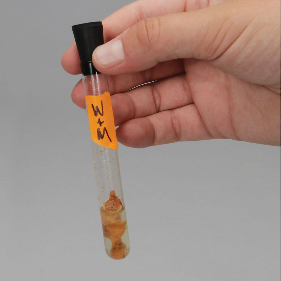 Thumbnail: Carolina ChemKits: Introduction to Enzymes (with prepaid coupon)