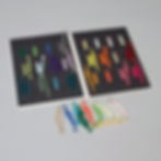 Thumbnail: Carolina Visual Perception Kit