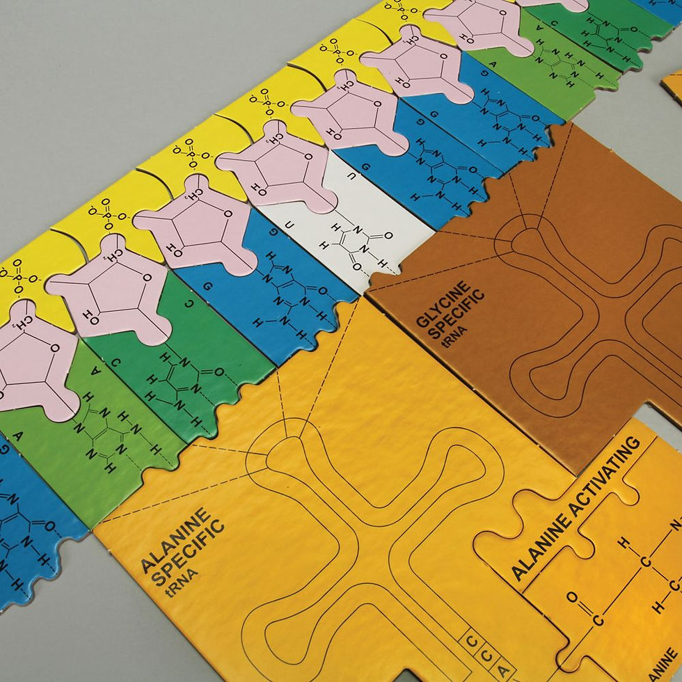 Thumbnail: Original DNA Puzzle Kit