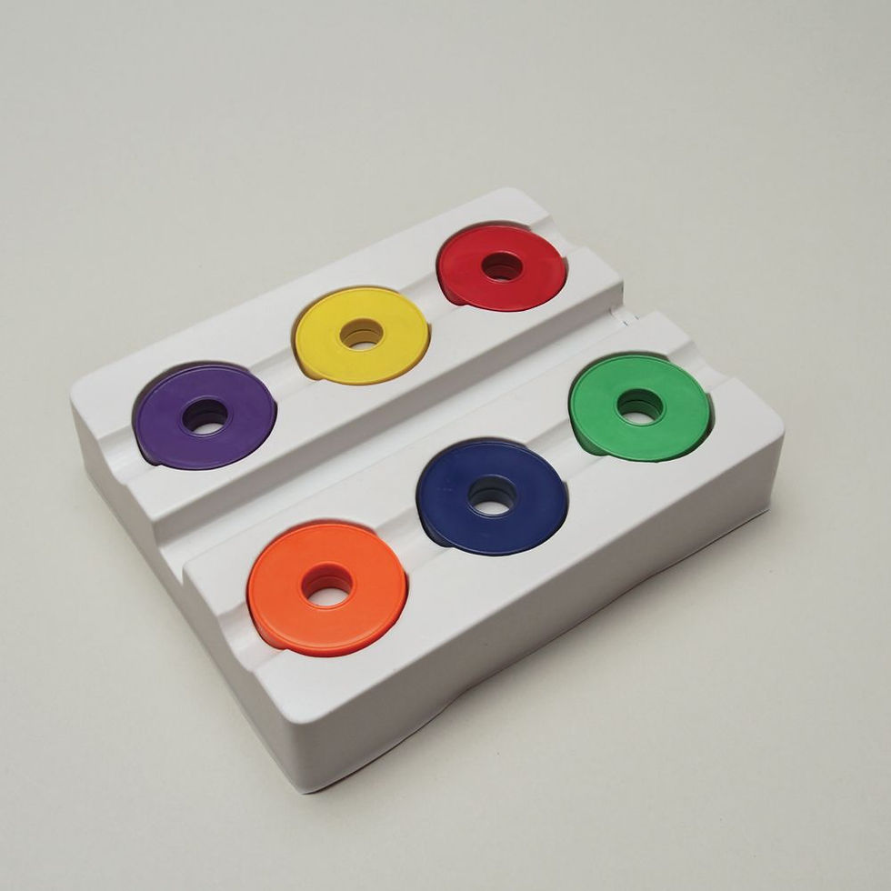Ring Magnets, Assorted Colors, Pack of 6