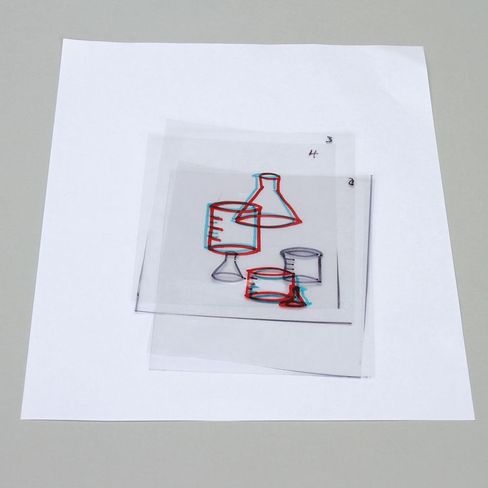 Thumbnail: Carolina STEM Challenge®: 3-D Art and Human Vision Kit