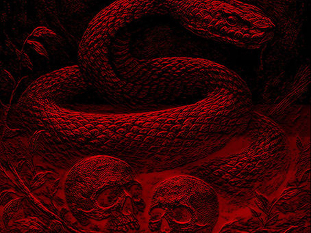 Dissecting ILÜZI's "The Python"