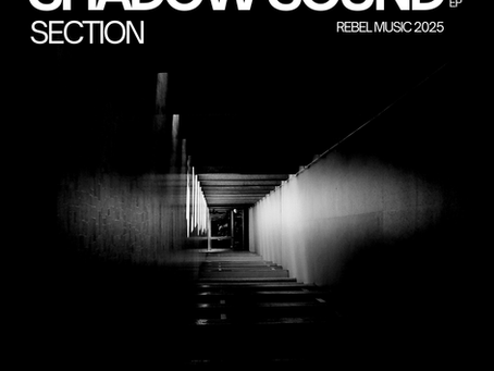 Do Shadows Have Sounds?