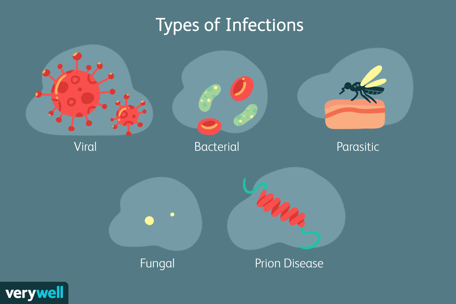 Types of infection