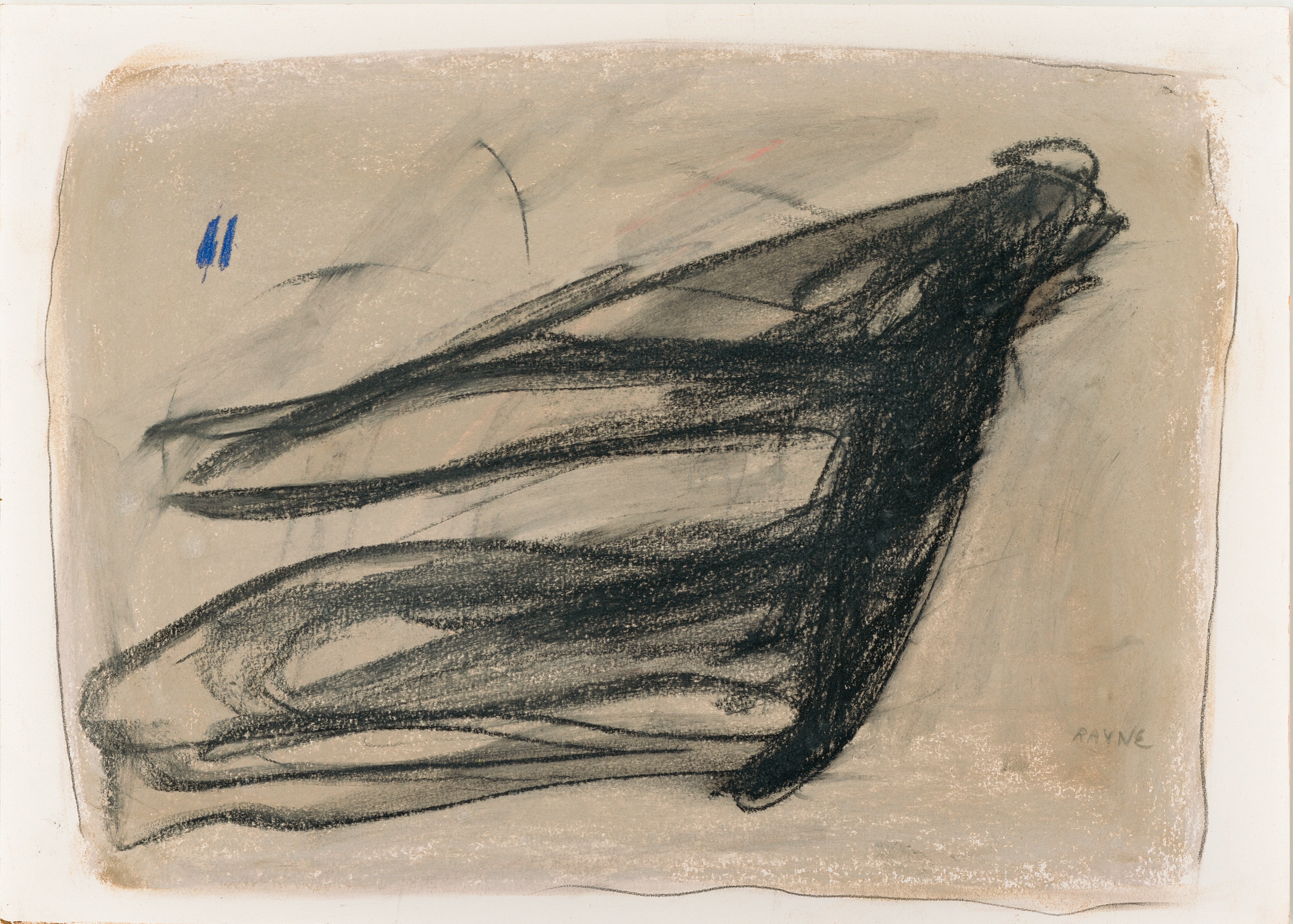 scans jume2026-47.jpg