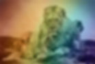 lion-783978.jpg