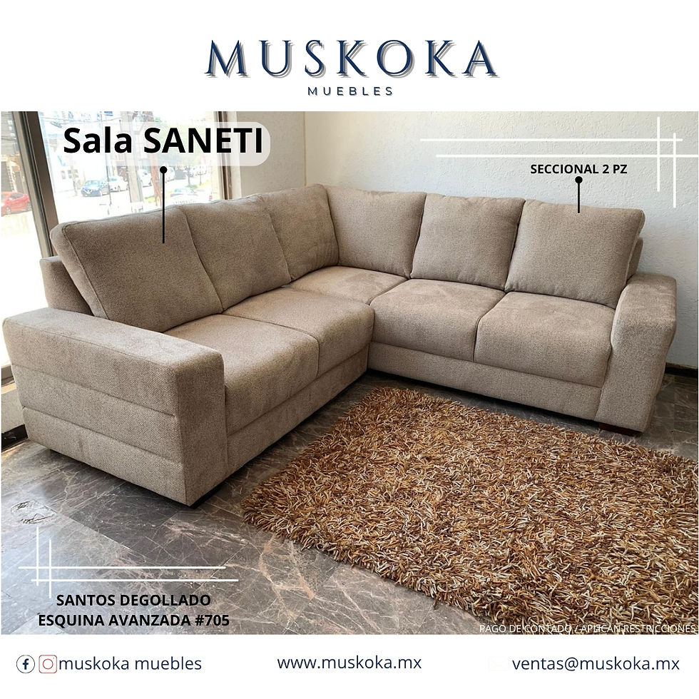 Miniatura: Sala Saneti /Seccional 2 pz.