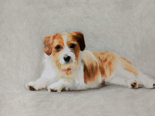 Jack Russell