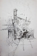 Backyard8-small