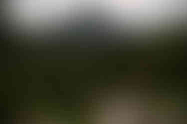 aerail view of bride and groom hiking glacier national park