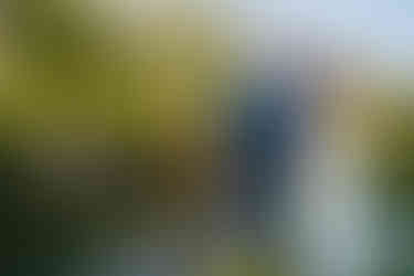 Bride and Groom post wedding at the reflection pool Nashville's Cheekwood botanical garden 