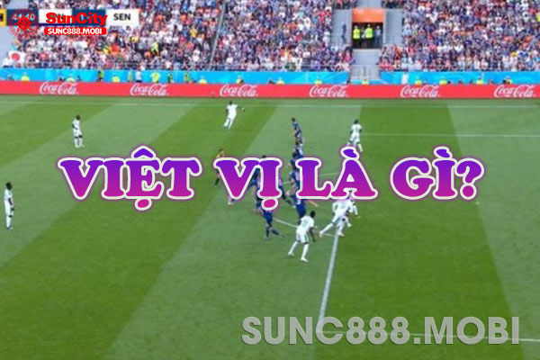 Viet Vi La Gi