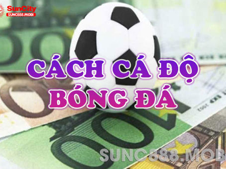 Cách Cá Độ Bóng Đá – Tổng Hợp 10 Cách Chơi Cá Độ Thể Thao Tại Suncity