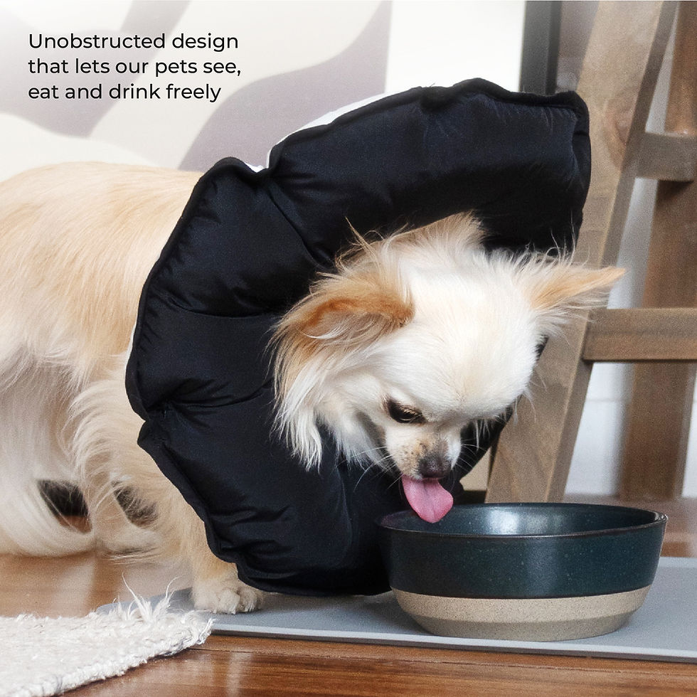 Thumbnail: Comfort Recovery Collar